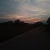 _yaowdee_