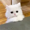 nguoiquaduong_889