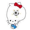 soccer_kitty