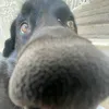 itickleyotoes_