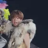 146.5cm