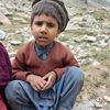 mtariqshah962