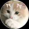 ludo_25