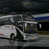 cinematikbus134_