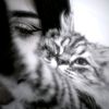 arwasaedy4