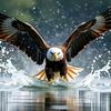 golden.eagle24