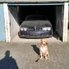 45_niklas