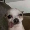 benjaa_kajsk