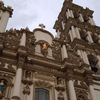 indio317