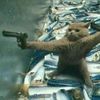 kevin_elp