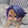 user1361860033602