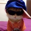 preppycat5