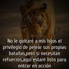 amandapavianmonte3