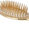 theholybrush