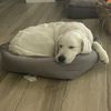 zoey29884