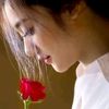 user8454480315800