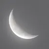 luit17y