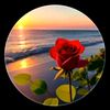 sathiakter23456789