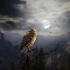 zzzzzz_hoang_zzzzz