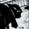 ______scourge______