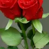 user60621936257925