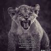 zubayr.0404