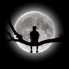 shaonuddin02gmail