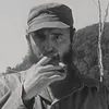 goshtubrinc47