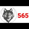 565baaghi