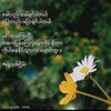 user8448801682418