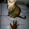 minggulibur420