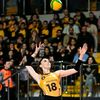voleybolsalseyler