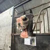clodaghsmain23