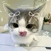 x_jihan_e