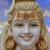 biharikumar8644