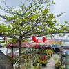 kimdiep0884