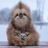 lovinganimalsusa