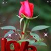 user1295500104723