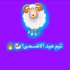 user6103039087529