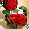 user2716720244523