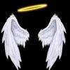 user4244424473365