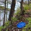 discgolf_no_disc