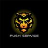 push_service