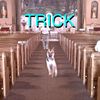 wwerex_