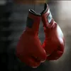 noah_boxe4