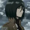 mikasarandom