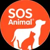 sosanimalsosanimal6