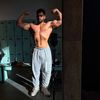 shalev_shabo