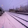 phil_kss0