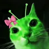 raeymo_7